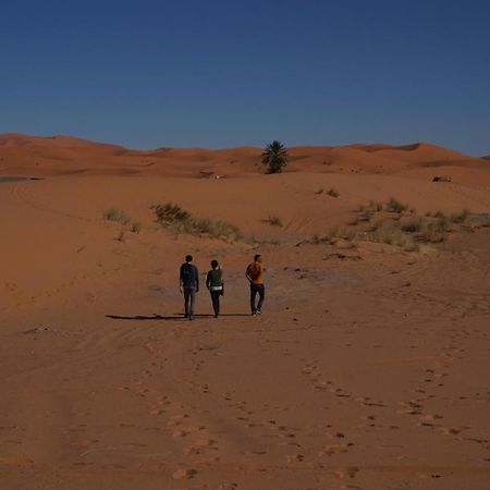 ホテル Bivouac Camel Trips メルズーガ エクステリア 写真