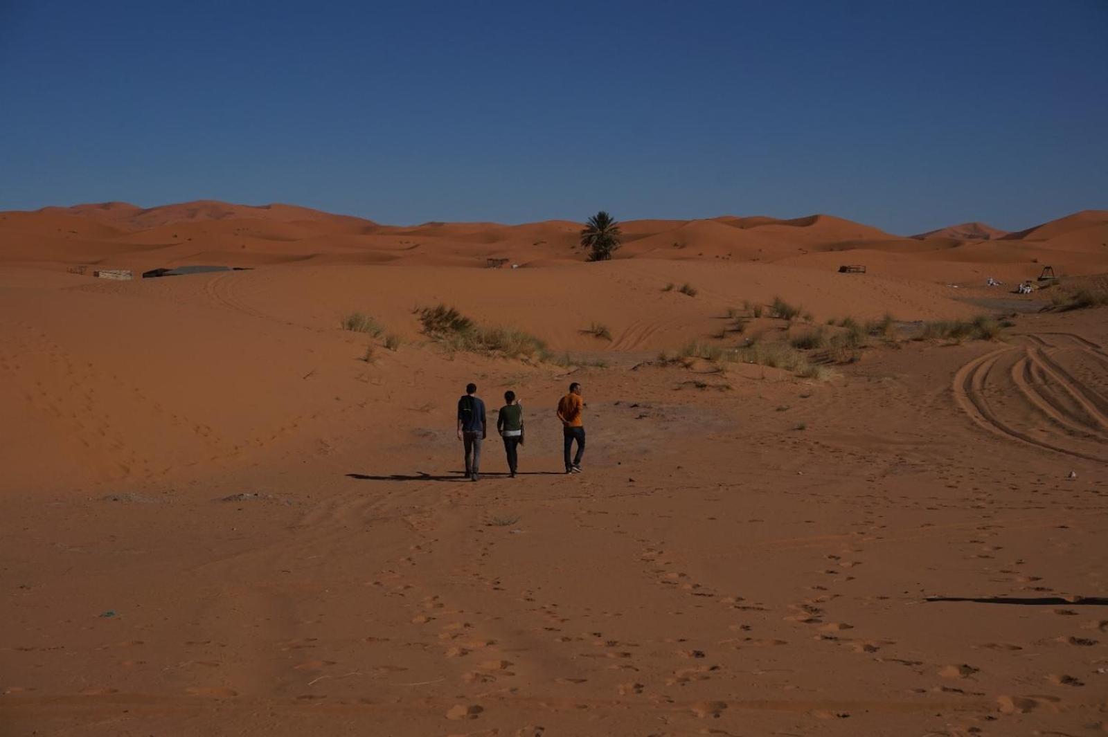ホテル Bivouac Camel Trips メルズーガ エクステリア 写真