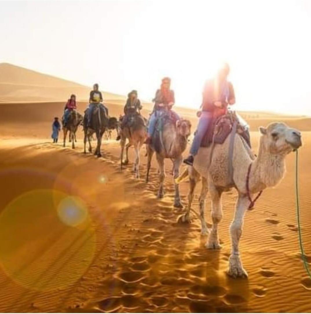 ホテル Bivouac Camel Trips メルズーガ エクステリア 写真