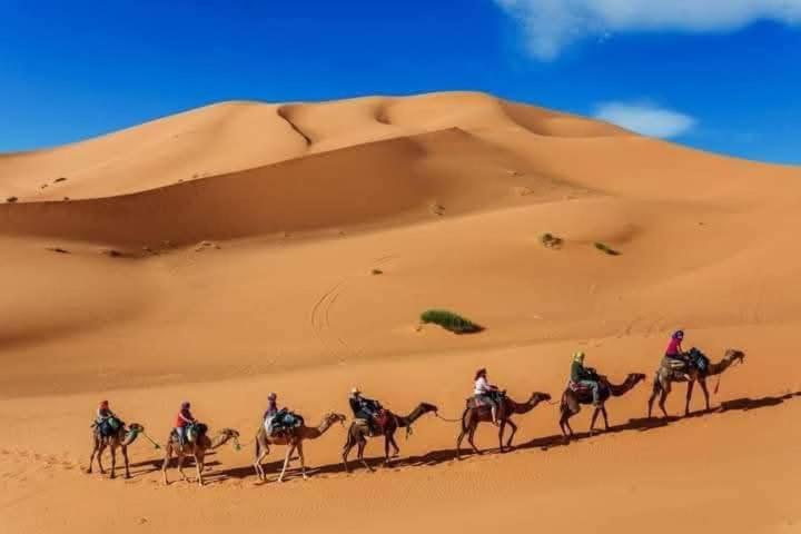 ホテル Bivouac Camel Trips メルズーガ エクステリア 写真
