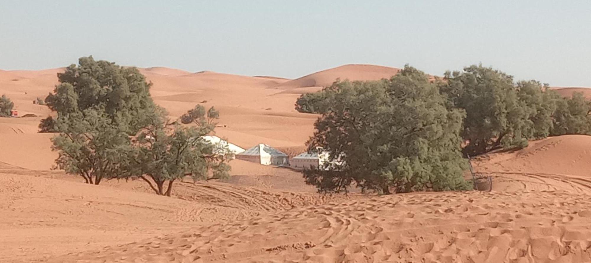 ホテル Bivouac Camel Trips メルズーガ エクステリア 写真