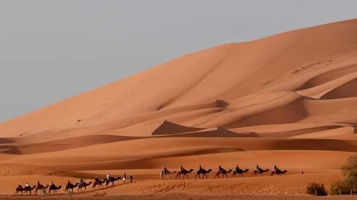 ホテル Bivouac Camel Trips メルズーガ エクステリア 写真