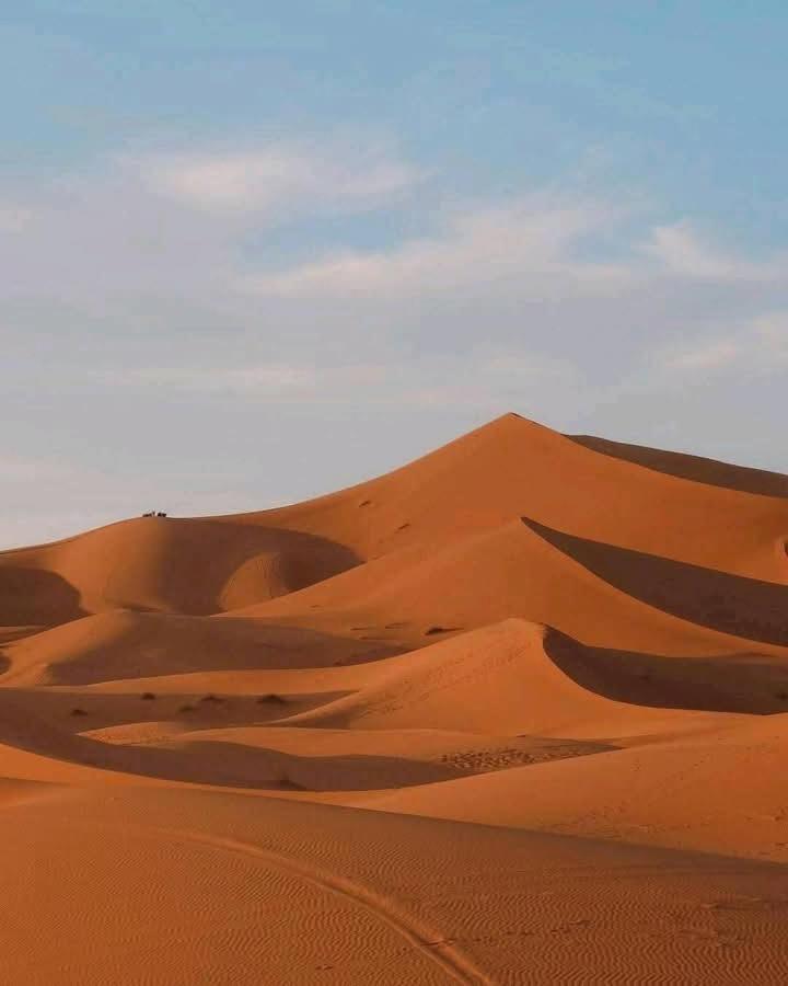 ホテル Bivouac Camel Trips メルズーガ エクステリア 写真