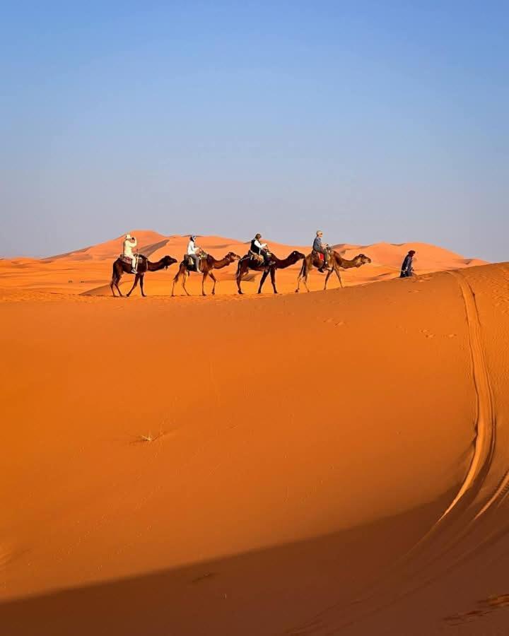 ホテル Bivouac Camel Trips メルズーガ エクステリア 写真