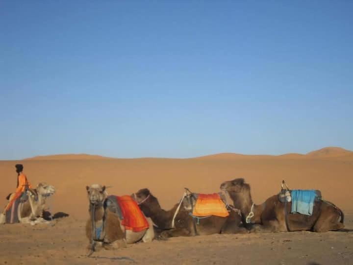 ホテル Bivouac Camel Trips メルズーガ エクステリア 写真