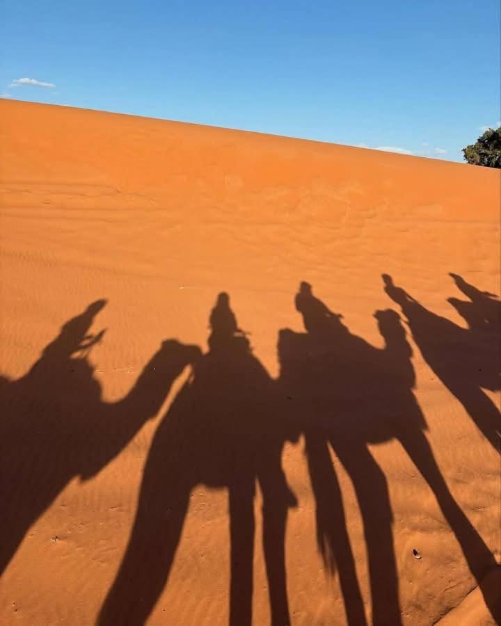 ホテル Bivouac Camel Trips メルズーガ エクステリア 写真
