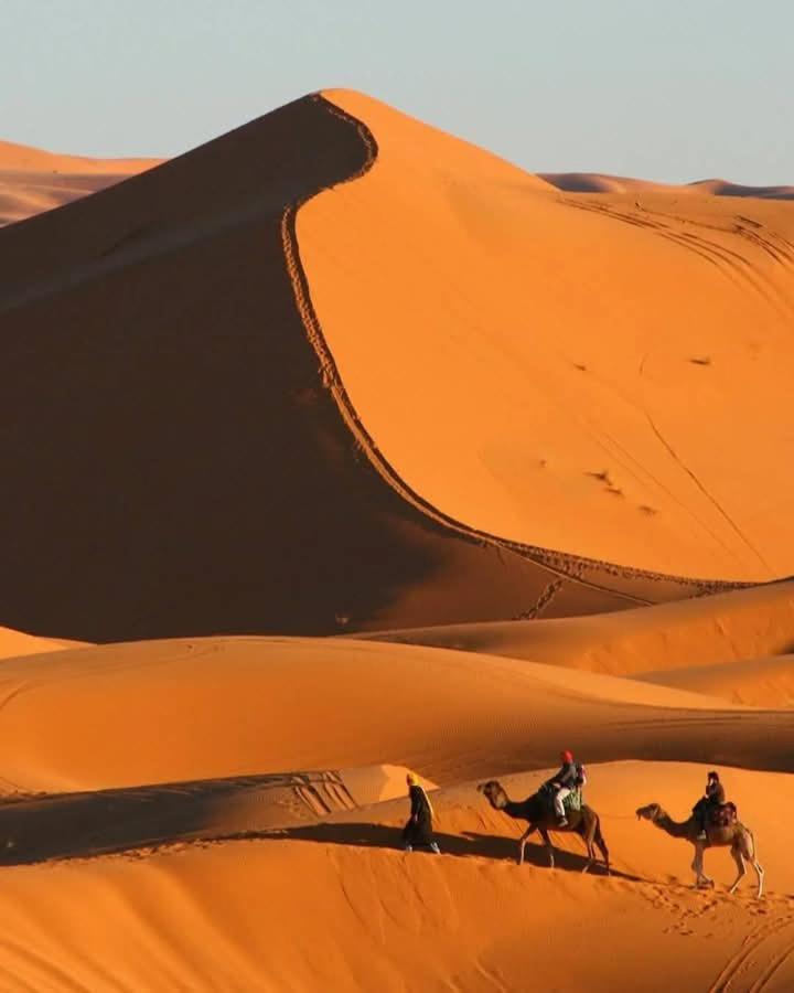 ホテル Bivouac Camel Trips メルズーガ エクステリア 写真