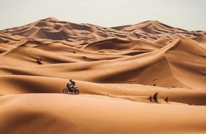 ホテル Bivouac Camel Trips メルズーガ エクステリア 写真